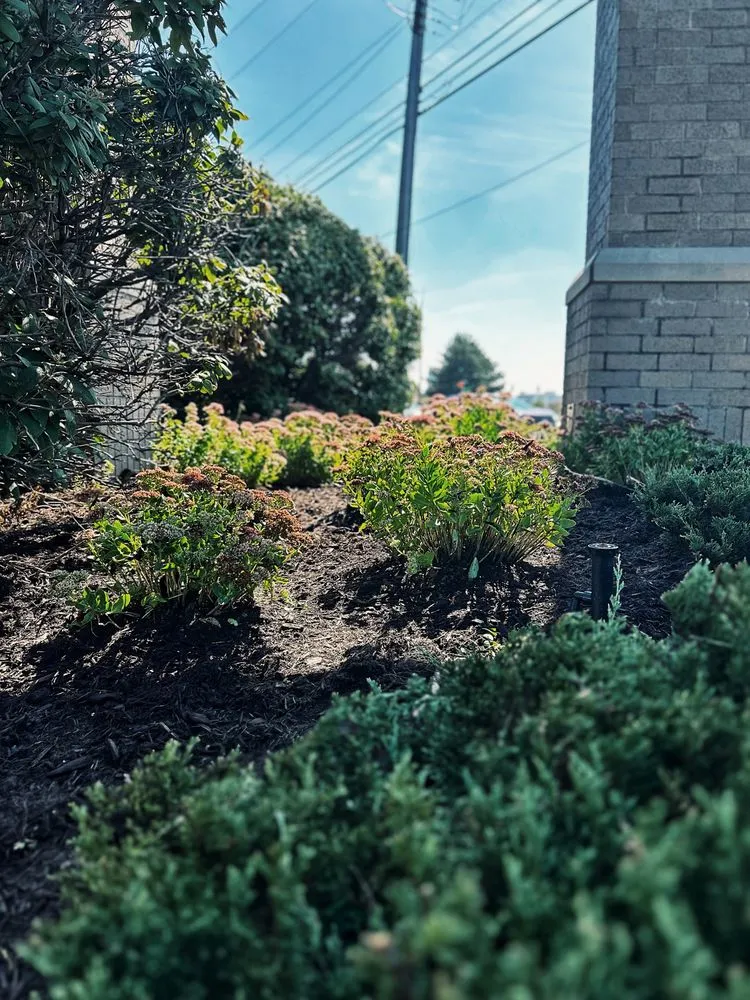 Local landscaping services experts serving Warren, MI - Paradise Garden Landscaping