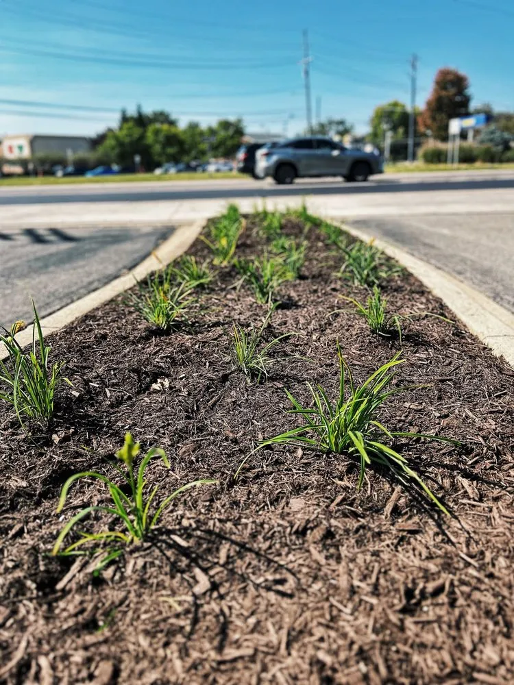 Custom garden landscaping for beautiful yards across Warren, MI - Paradise Garden Landscaping