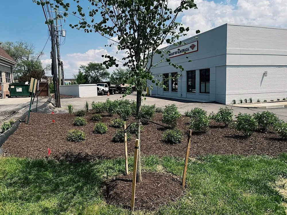 Local yard cleanup service in Warren, MI - Paradise Garden Landscaping