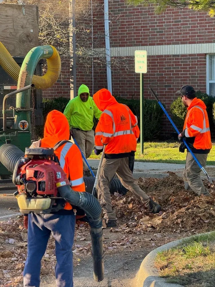 Top-rated lawn care service in Warren, MI - Paradise Garden Landscaping