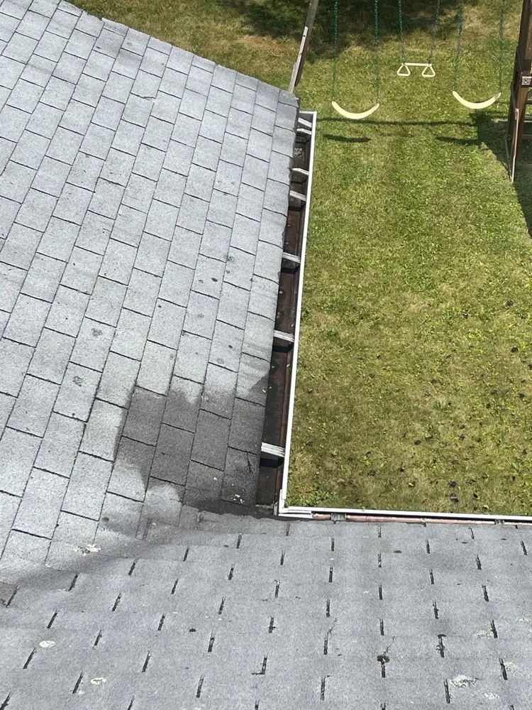 Affordable lawn mowing service experts serving Poughkeepsie, NY - Paradise Garden