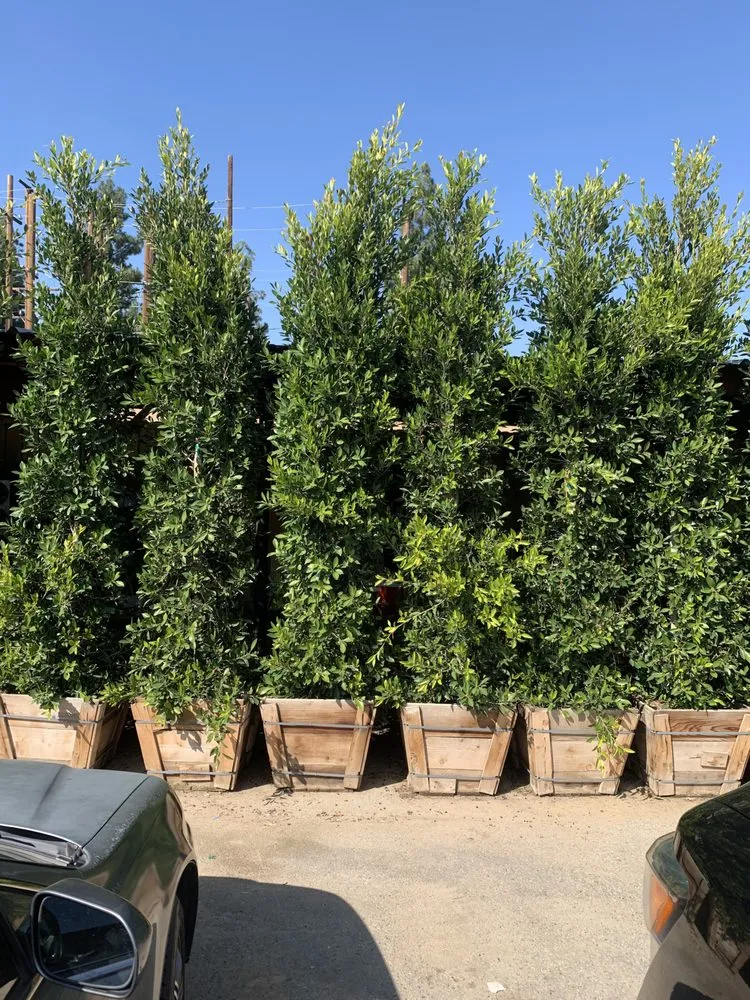 Custom garden landscaping experts serving San Fernando Valley, CA - Paradise Gardens Nursery