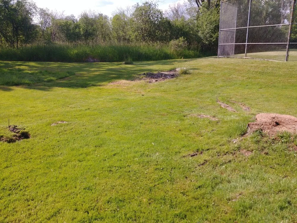 Trusted landscape installation in West Bend, WI - Paradise Gardens Nursery