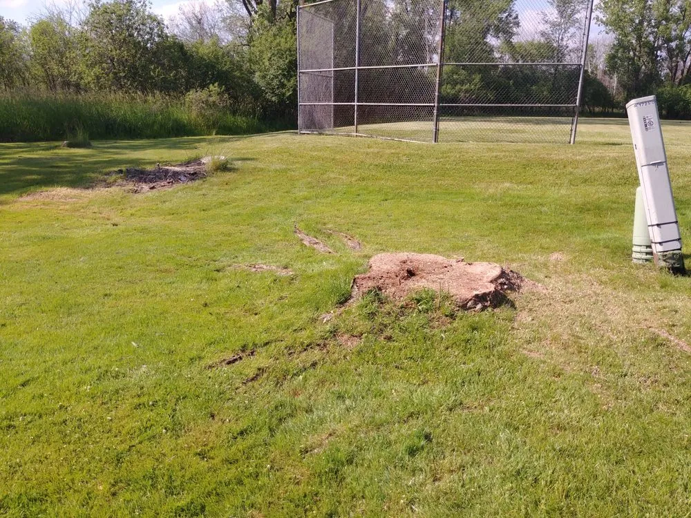 Professional garden landscaping for beautiful yards in West Bend, WI by Paradise Gardens Nursery