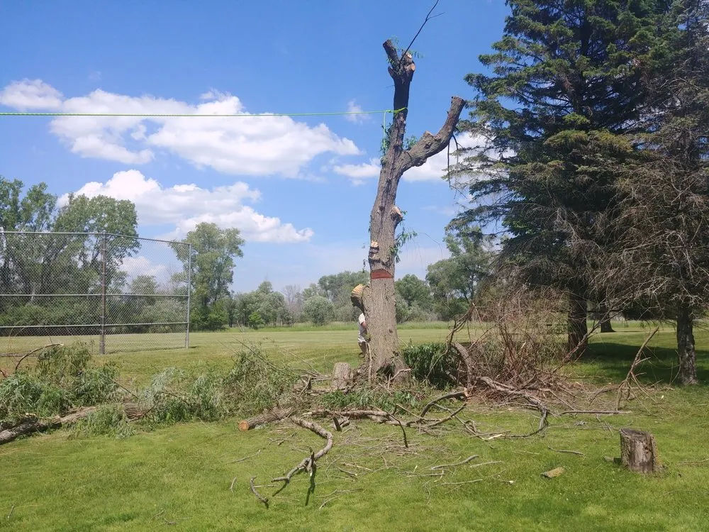 Trusted yard maintenance for year-round maintenance in West Bend, WI by Paradise Gardens Nursery