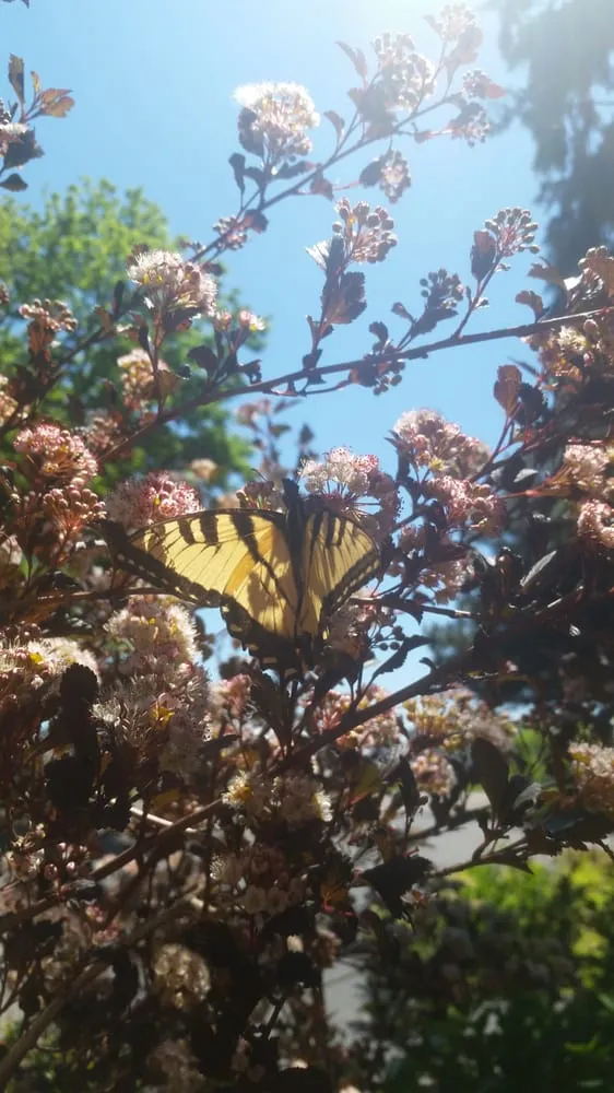 Professional landscape installation for year-round maintenance in West Bend, WI by Paradise Gardens Nursery