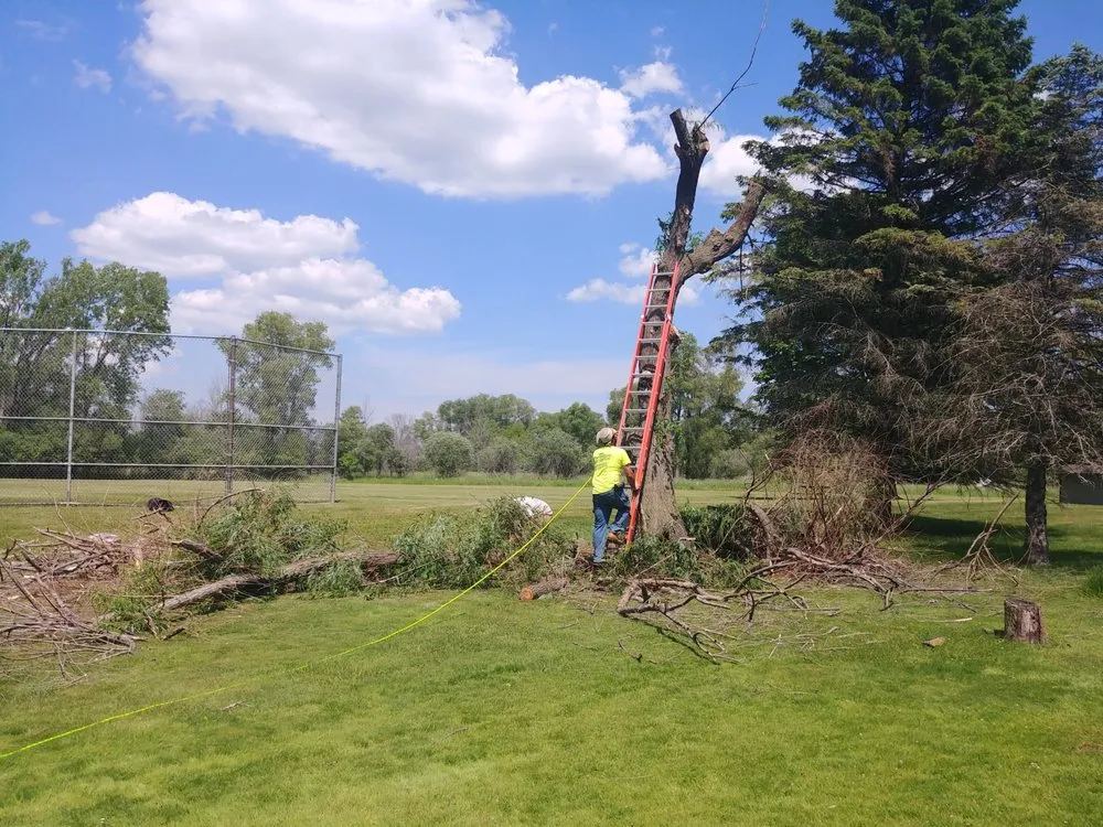 Affordable lawn mowing service experts serving West Bend, WI - Paradise Gardens Nursery