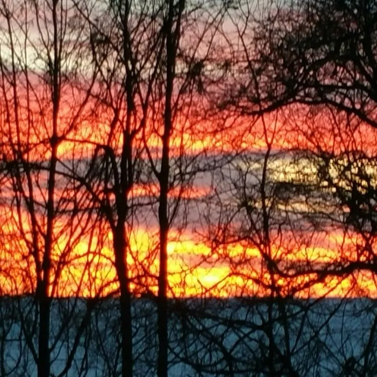 Local landscape installation in Manlius, NY by Paradise Grounds