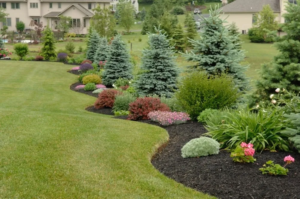 Top-rated landscaping services experts serving Manlius, NY - Paradise Grounds