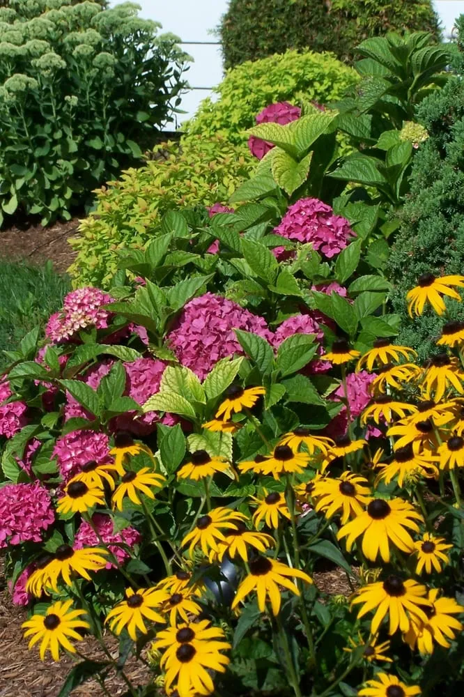 Expert lawn care service with custom design in Manlius, NY by Paradise Grounds