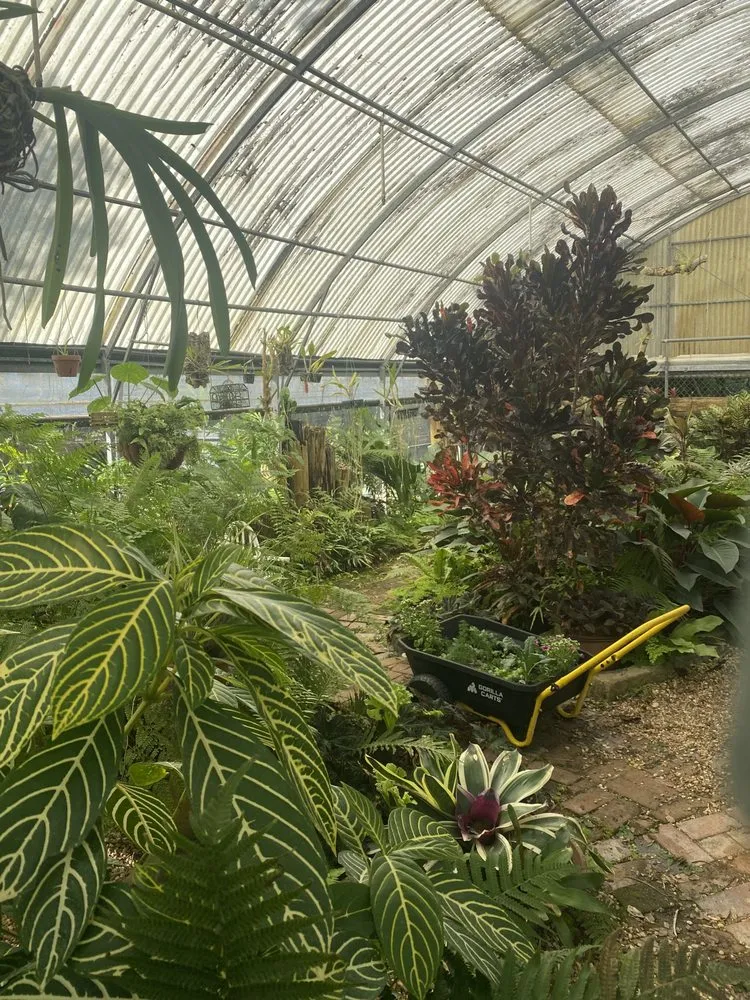 Reliable landscape design experts serving Orlando, FL - Paradise Island Services