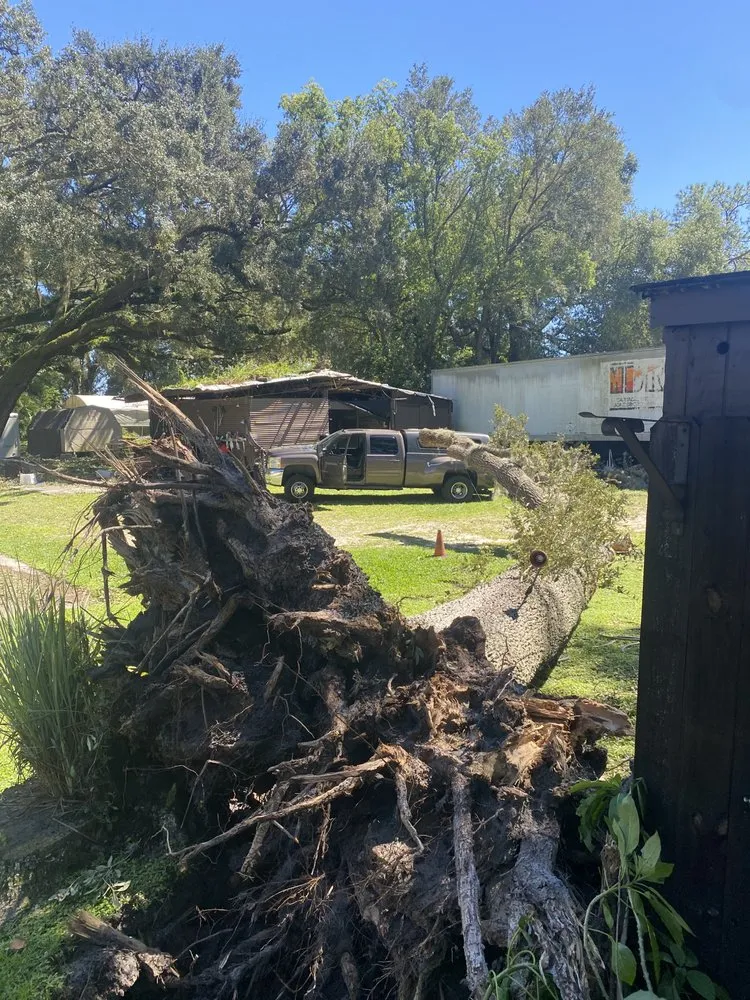 Expert yard maintenance in Orlando, FL - Paradise Island Services