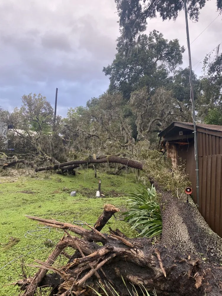 Custom landscape design experts serving Orlando, FL - Paradise Island Services