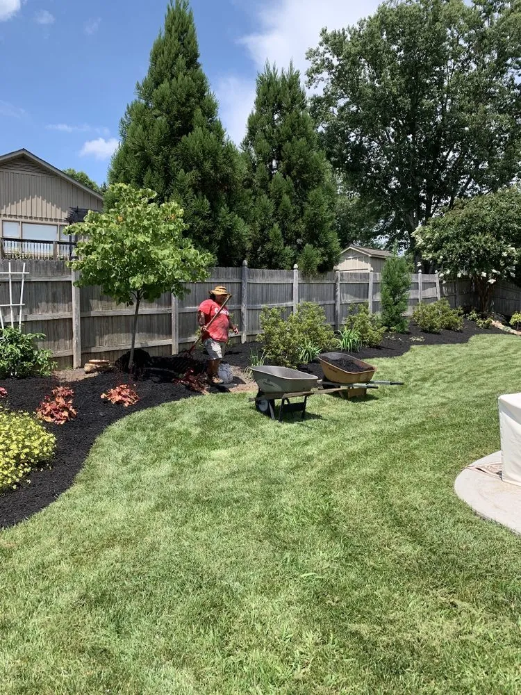 Local lawn care service experts serving Knoxville, TN - Paradise Landsape