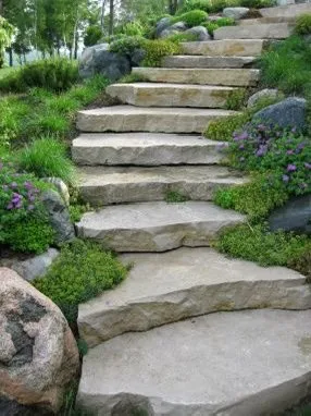 Local landscaping services near you in Knoxville, TN by Paradise Landsape