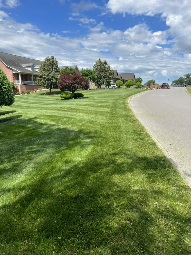 Trusted residential landscaping in Knoxville, TN by Paradise Landsape