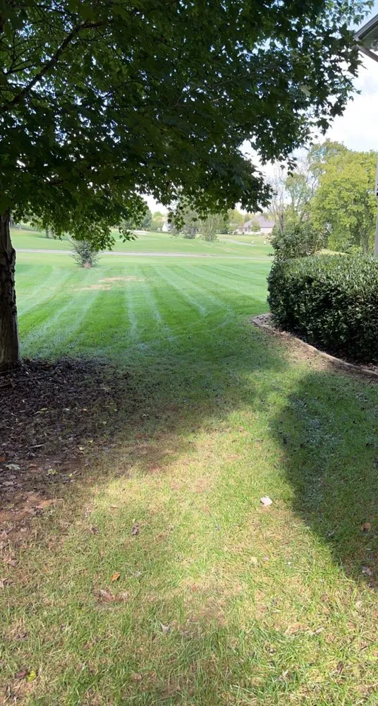 Reliable yard maintenance for residential properties across Knoxville, TN - Paradise Landsape