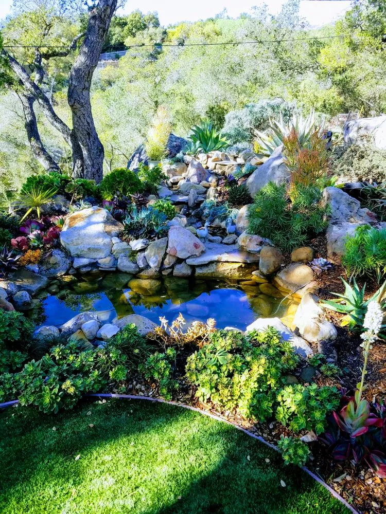 Custom lawn care service experts serving Carpinteria, CA - Paradise Landscape & Design