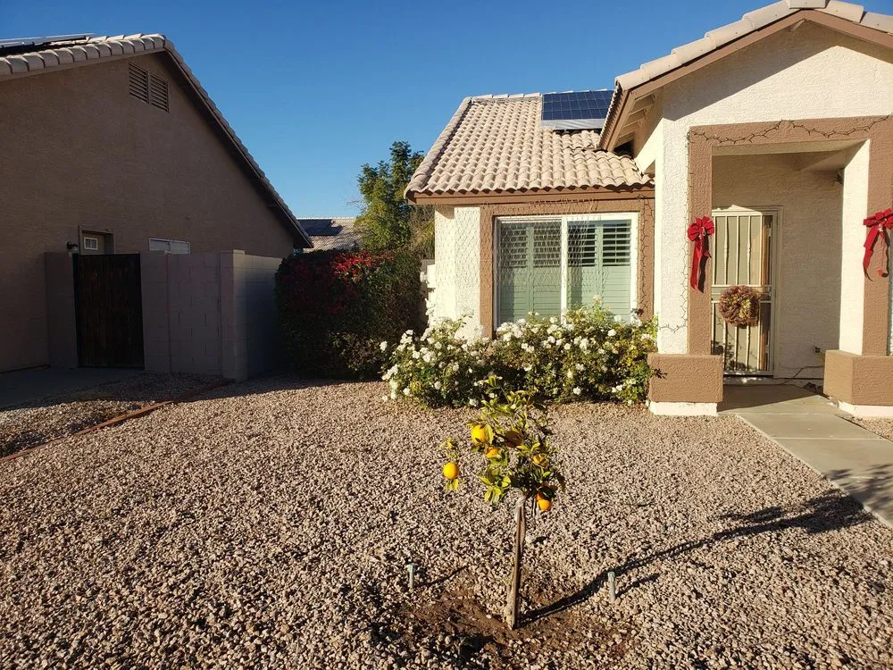 Local yard maintenance in Chandler, AZ by Paradise Landscape & Irrigation