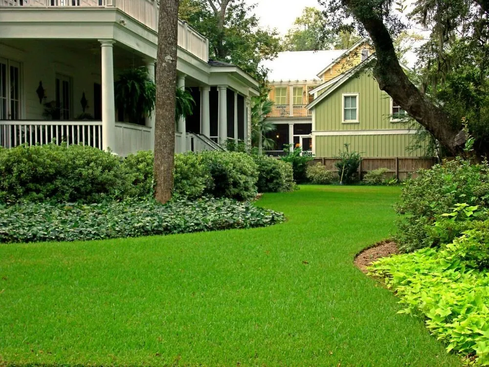 Expert landscaping services in Chandler, AZ - Paradise Landscape & Irrigation