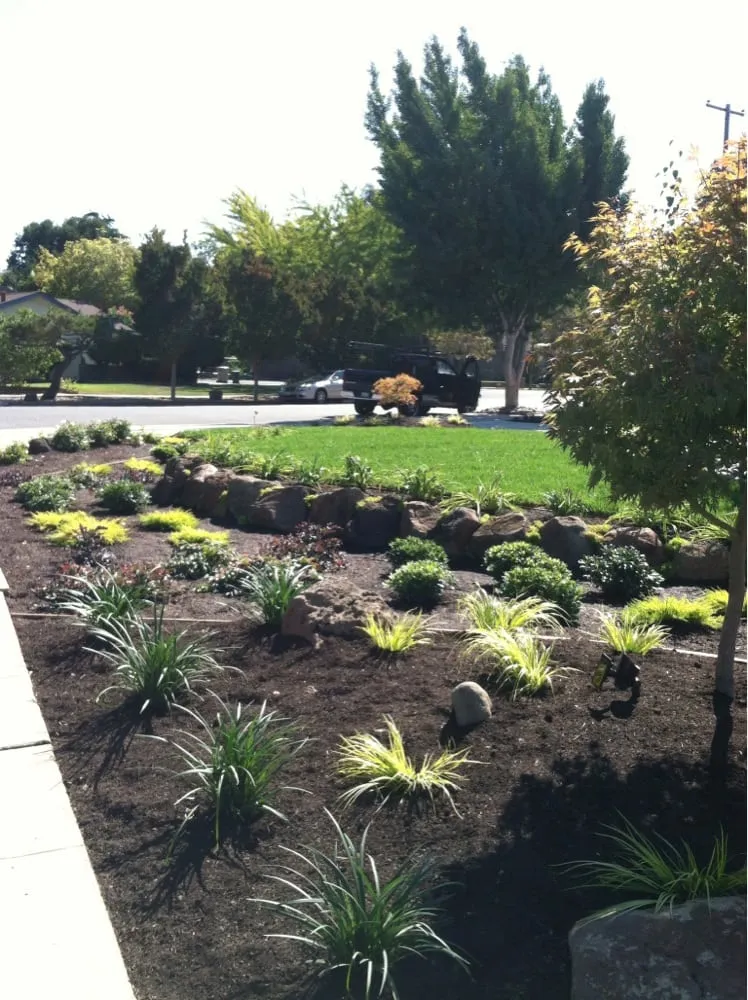 Top-rated lawn care service in San Martin, CA by Paradise Landscape and Garden