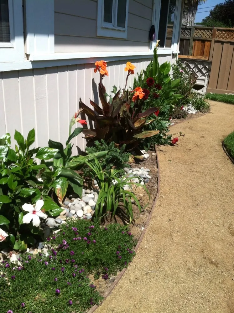 Custom yard cleanup service in San Martin, CA by Paradise Landscape and Garden