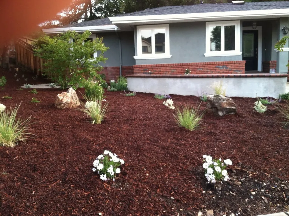 Local lawn care service for beautiful yards across San Martin, CA - Paradise Landscape and Garden
