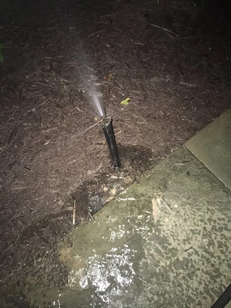 Expert yard maintenance in Harwood, MD - Paradise Landscape and Hardscape