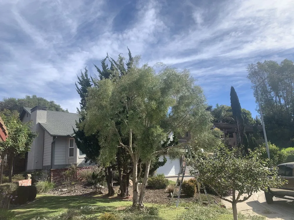 Reliable garden landscaping in Arroyo Grande, CA - Paradise Landscape And Maintenace