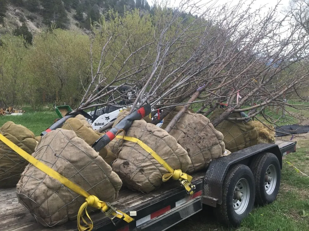 Reliable landscape installation for outdoor upgrades in Livingston, MT by Paradise Landscape and Stone