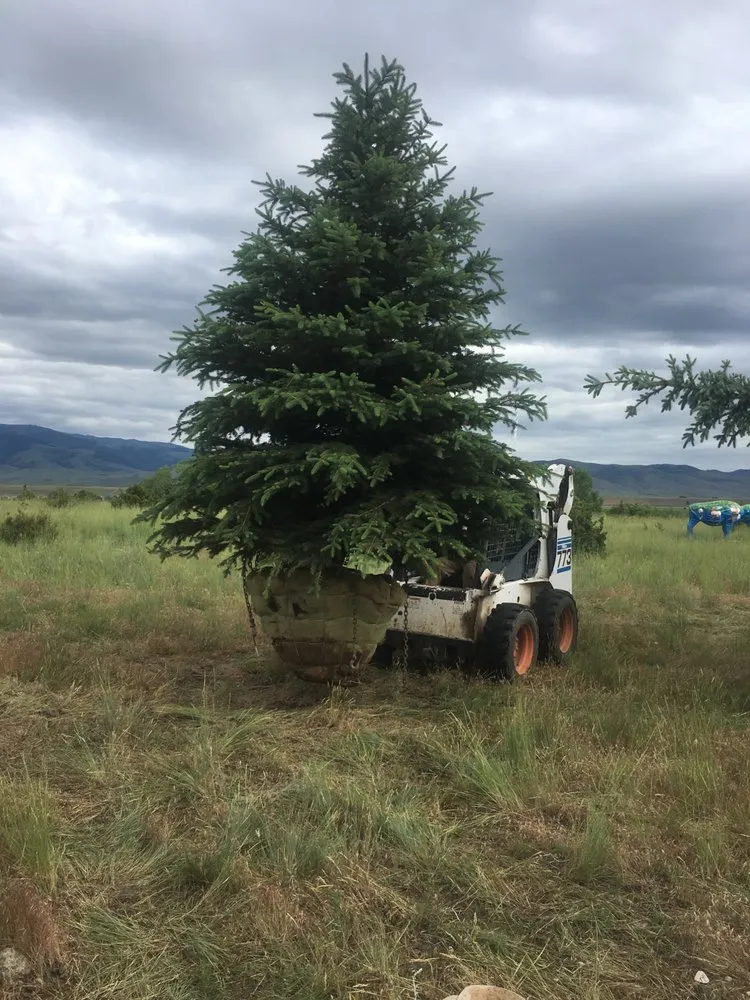 Expert garden landscaping in Livingston, MT - Paradise Landscape and Stone