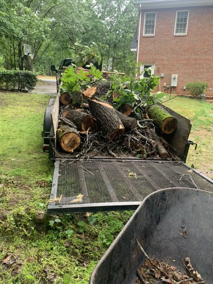 Expert yard maintenance for homes in Bunn, NC by Paradise Landscape