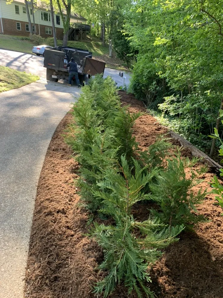 Local garden landscaping in Bunn, NC - Paradise Landscape