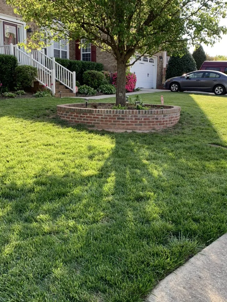 Trusted yard cleanup service in Bunn, NC - Paradise Landscape
