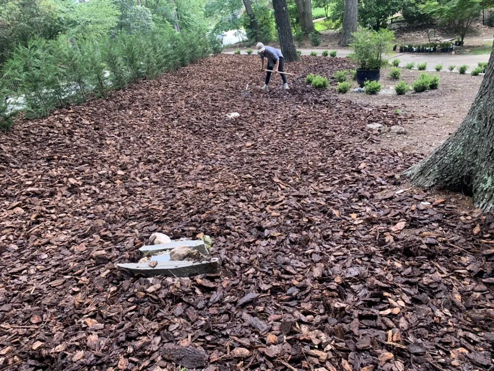 Reliable yard cleanup service in Bunn, NC by Paradise Landscape