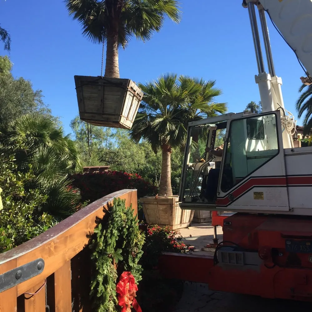 Professional landscape design in Carlsbad, CA by Paradise Landscape