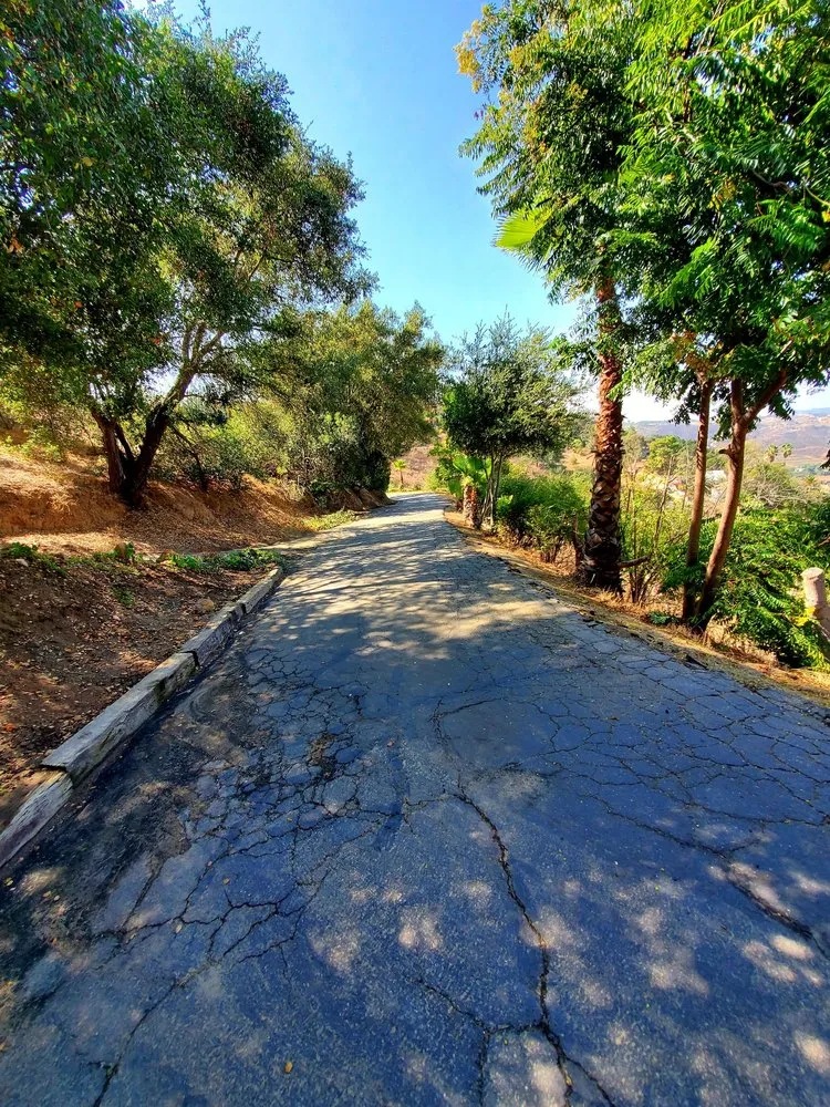 Custom yard maintenance in Carlsbad, CA - Paradise Landscape