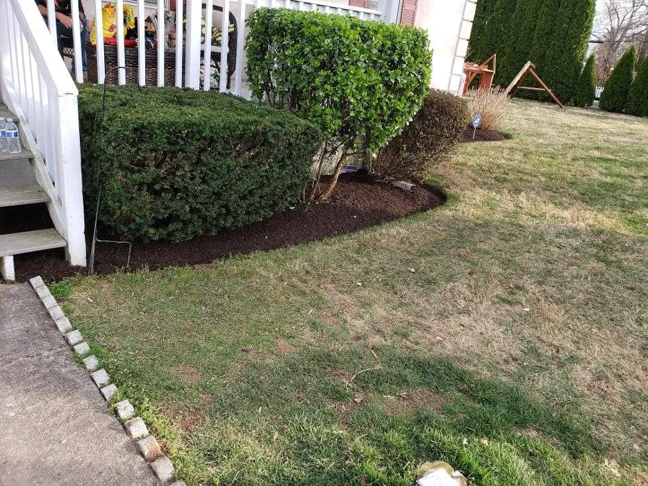 Reliable landscaping services for beautiful yards across Bensalem, PA - Paradise Landscape Construction