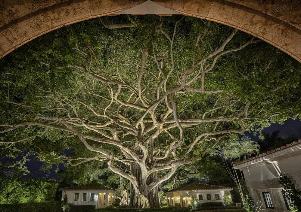 Reliable outdoor landscaping experts serving Fort Lauderdale, FL - Paradise Landscape Lighting