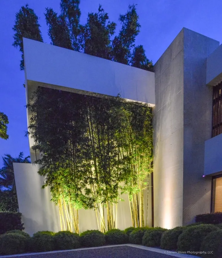 Expert yard cleanup service for residential properties in Fort Lauderdale, FL by Paradise Landscape Lighting