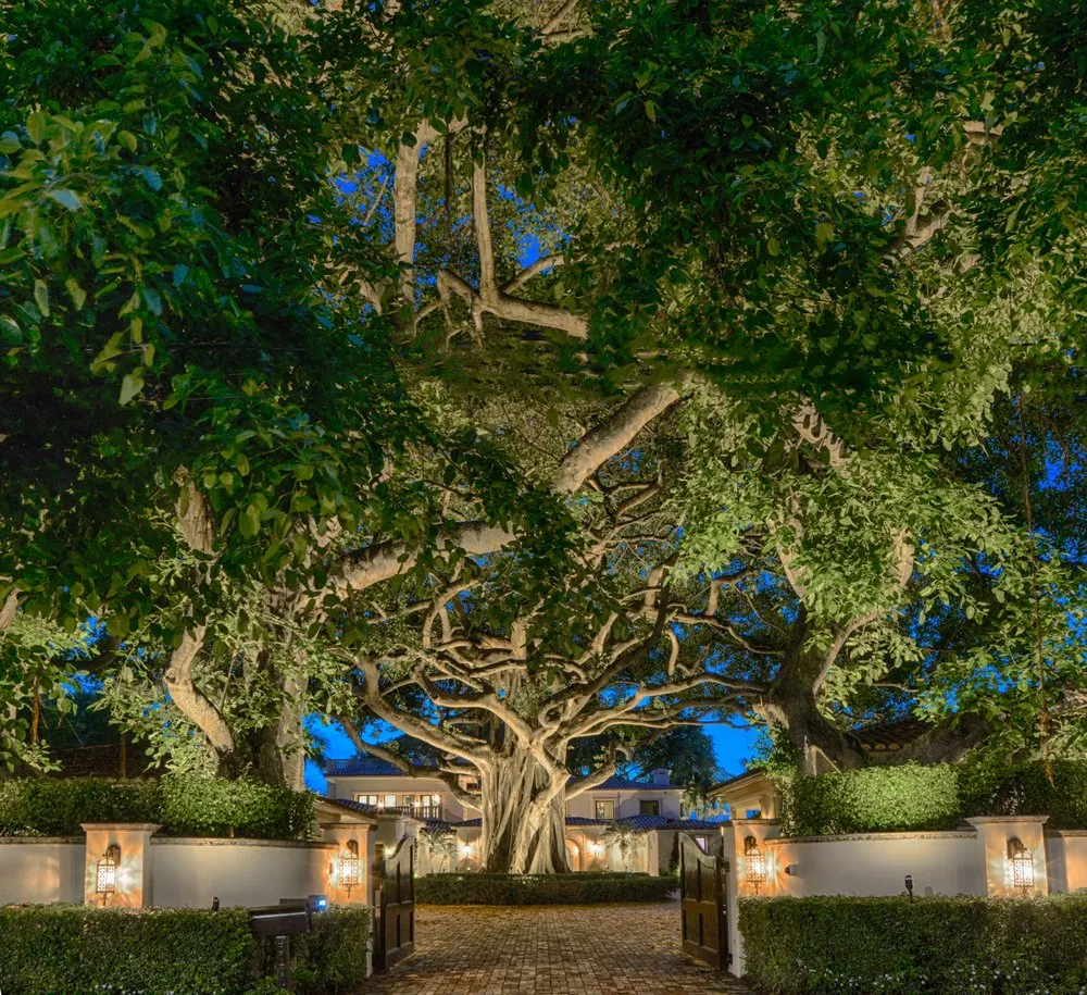 Professional lawn care service in Fort Lauderdale, FL by Paradise Landscape Lighting