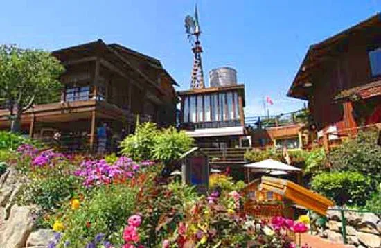 Reliable yard cleanup service experts serving Santa Cruz, CA - Paradise Landscape