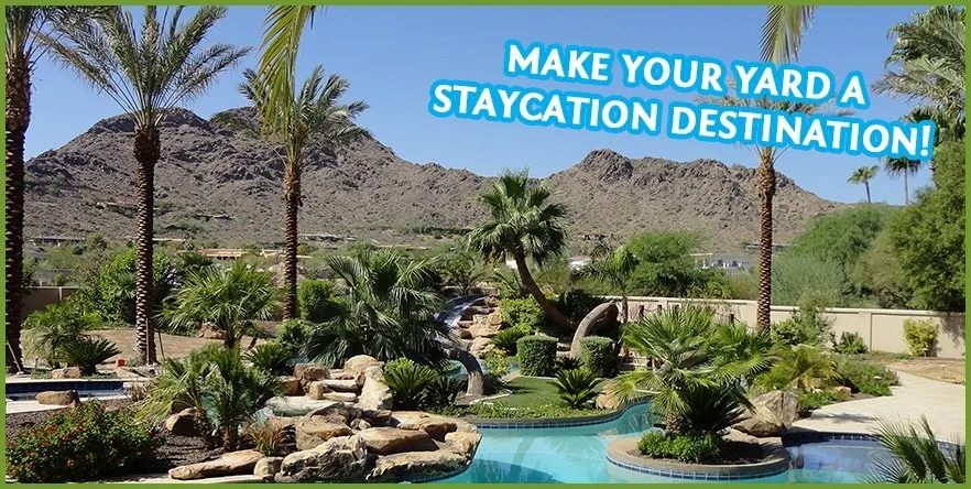 Affordable lawn care service experts serving Santa Cruz, CA - Paradise Landscape