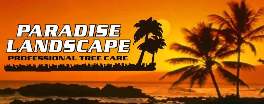 Top-rated lawn mowing service for homes in Santa Cruz, CA by Paradise Landscape