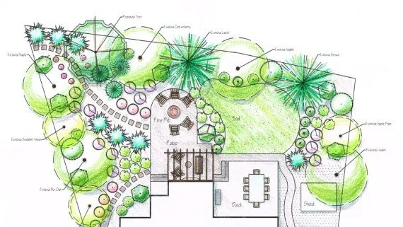 Reliable yard maintenance in Santa Cruz, CA - Paradise Landscape