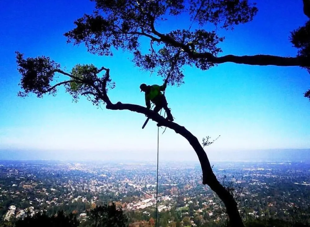 Reliable outdoor landscaping for homes in Santa Cruz, CA by Paradise Landscape