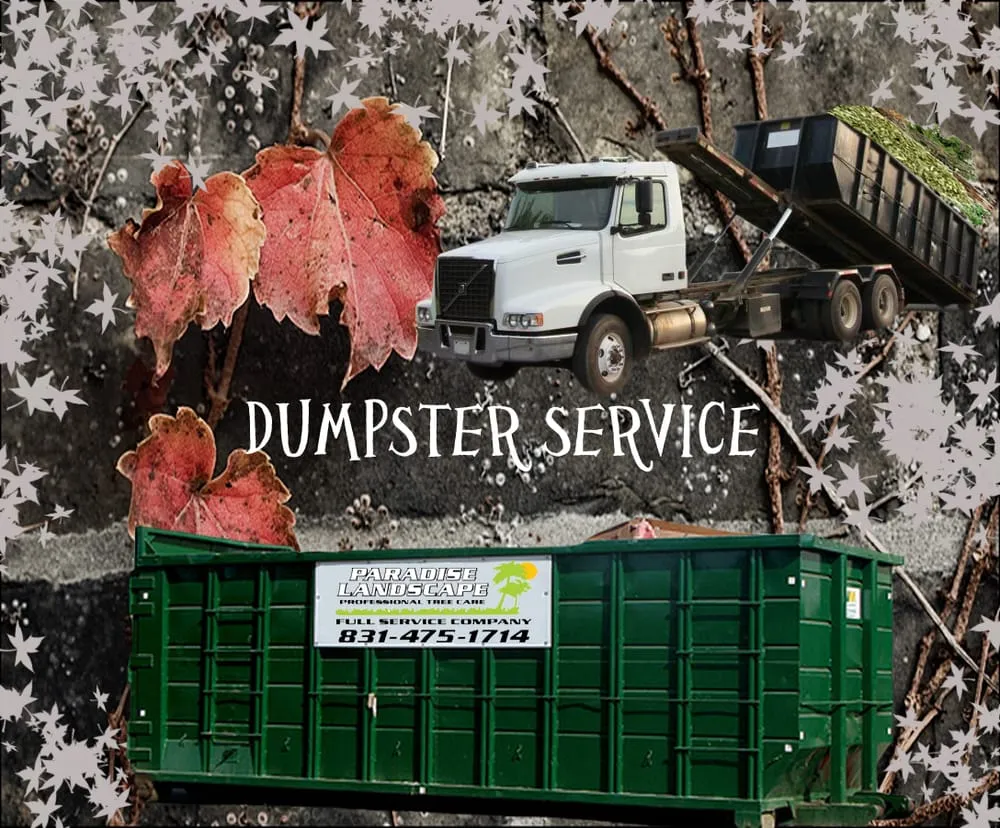 Expert yard maintenance with custom design in Santa Cruz, CA by Paradise Landscape