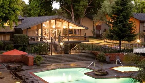 Expert landscaping services experts serving Santa Cruz, CA - Paradise Landscape