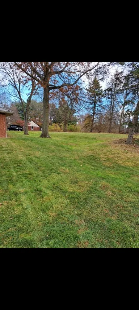 Expert landscaping services in Lorain, OH - Paradise Landscapes