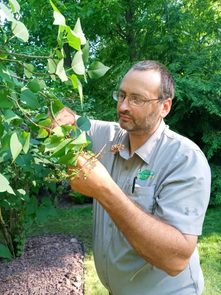 Trusted landscape installation in Lorain, OH by Paradise Landscapes